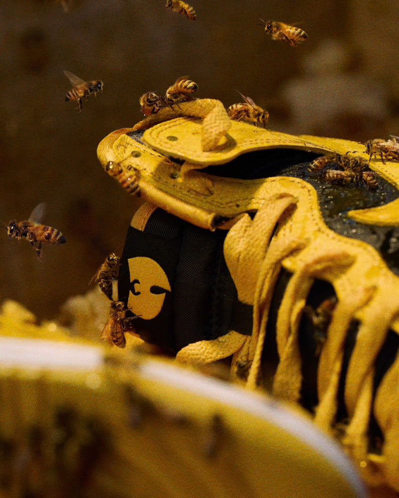 Nike x Wu Dunk